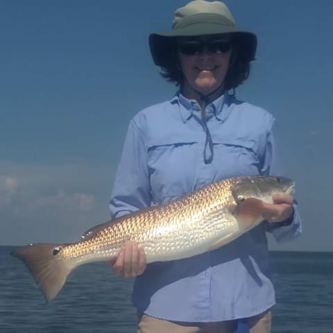 Dr. Blythe Lyons, Lafayette Veterinarian