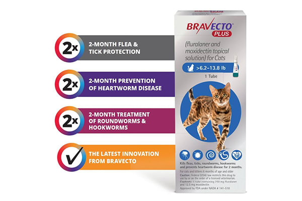 Heartworm & Intestinal Worm Prevention, Lafayette Vet